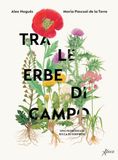 Tra le erbe di campo. Una passeggiata ricca di sorprese