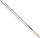 Mikado Trython Medium Canne à pêche filature Argent 2,40 m / 10-30 g