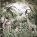 Jungle Animaux Papier Peint Panoramique - 130 cm x 131 cm