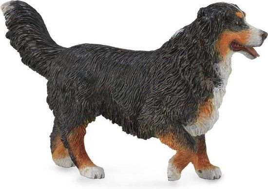 Collecta Honden Berner Sennenhond - 10,5 x 6,7 cm - Kunststof - Bruin