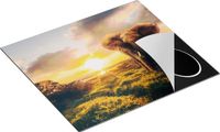 Chefcare Inductie Beschermer Olifant in het Wild bij Zonsondergang - 57,6x51,6 cm - Afdekplaat Inductie - Kookplaat Beschermer - Inductie Mat
