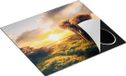 Chefcare Inductie Beschermer Olifant in het Wild bij Zonsondergang - 57,6x51,6 cm - Afdekplaat Inductie - Kookplaat Beschermer - Inductie Mat