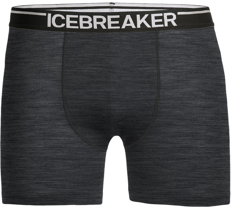 Icebreaker Anatomica Zwemboxers Heren, jet heather