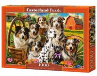 Castorland 1000-delige puzzel: Vrolijke honden op het platteland