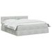 vidaXL Opslag bed met hoofdeinde Lichtgrijs 160 x 200 cm Fluweel