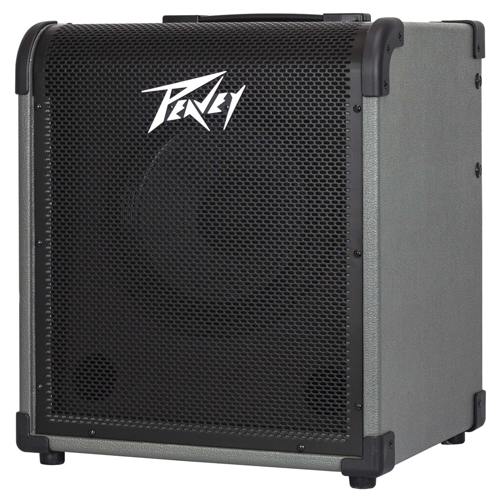 Peavey MAX 100 1 x 10 inch basgitaarversterker