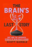 The Brain’s Last Story: DMT and the Unproved Science of Near-Death Visions