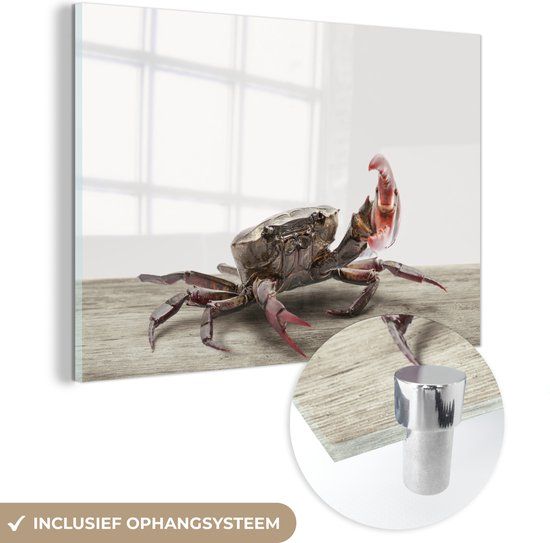 MuchoWow® Glass Painting 180x120 cm - Acrylic Glass Painting - Kids - Crab - Sea Animals - Boys - Girls - Kids - Photo on Glass - Paintings