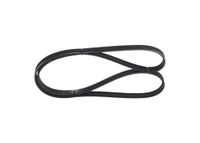 BOSCH Keilrippenriemen 1987946235