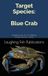 Target Blue Crab: Mastering the Art of Crabbing Along America's Shores