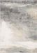 Safavieh Abstract Indoor Geweven Vloerkleed, Jasper Collectie, JSP114, Grijs & Goud, 122 X 183 cm