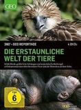 STUDIOCANAL Erstaunliche Welt der Tiere/360° - GEO Reportage/5 DVD