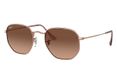 Ray-Ban HEXAGONAL FLAT LENSES zonnebril Zeshoekig