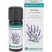 Huile essentielle Bio Lavande 10ml