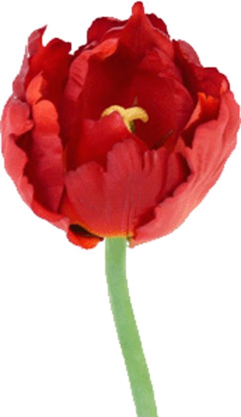 Bellatio Flowers & Plants Fun & Feest Bloemen Tulp deluxe rood