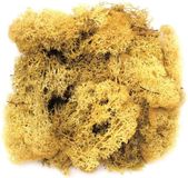 Merkloos Decoratie nep mos - geel - 50 gram
