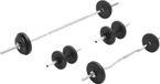 vidaXL Set met halter en gewichten, 30 kg