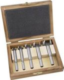 Alpen 0023900005100 Forstnerboorset 5-delig 15 mm, 20 mm, 25 mm, 30 mm, 35 mm