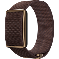 Polar Loop Bruin