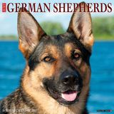Willow Creek Press German Shepherds 2027 12 X 12 Wall Calendar