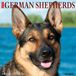 Willow Creek Press German Shepherds 2027 12 X 12 Wall Calendar