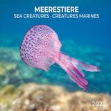 Meerestiere / Sea Creatures 2027: Kalender 2027