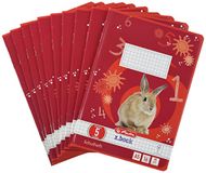 Herlitz 3320504 schriften A5/16 liniatuur 05 (geruit 5 x 5 mm) FSC gemengd pak van 10 motieven, gesorteerd