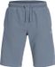 JACK&JONES JPSTGORDON ARCHIVE SWEAT SHORTS MID SN Bleu