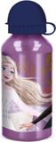 Stor Disney's Frozen II Aluminium Drinkfles