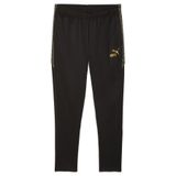 PUMA Pantalon de football KINGtouch Homme, Accessoires, Noir, S