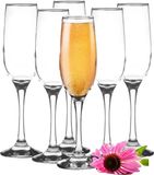 Glasmark Champagneglazen - 6x - Rocroi - 200 ml - D5 x H23 cm - glas - flutes