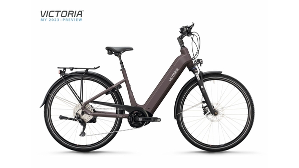 VICTORIA TRESALO 13 / bornit copper / Dames /  / 2023