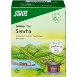 Salus THÉ VERT Bio Salus Sachets Filtre Grand Format 40 Pièces