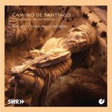 PIAS Nederland Spielleyt - Camino De Santiago (CD)