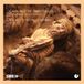 PIAS Nederland Spielleyt - Camino De Santiago (CD)