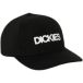 Dickies Casquette snapback Torrey
