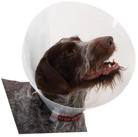 Buster Transparent Classic Collar - Maat 2