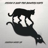 Suburban Vicious Kitten Records Shadow Work 38