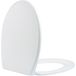 Wiesbaden Ultimo 3.0 Toiletzitting - Softclose en Quick Release - Mat Wit