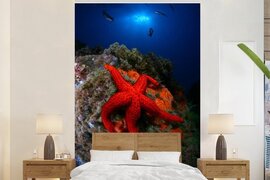 Nr1Wallpaper Behang - Fotobehang Zeester - Rood - Koraal - Breedte 180 cm x hoogte 280 cm