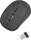 Logilink ID0193 muis Rechtshandig RF Draadloos Optisch 1600 DPI Zwart
