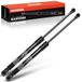 Frankberg 2 x gasveren achterklep compatibel met 1e E81 1.6L-3.0L Hatchback 2006-2011 1e E87 1.6L-3.0L Hatchback 2004-2012 vervanging # 51247060622