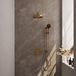 Brauer Stripe thermostatische inbouw regendouche 3-weg rond SET 46 met 25 cm douchekop en rechte muurarm en 3-standen handdouche en doucheslang en geintegreerde glijstang goud geborsteld PVD
