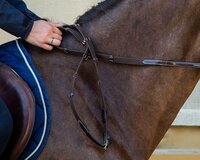 Dy'on D Collection 5/8 Web Reins with Stops - Brown - Cob