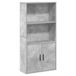 vidaXL Boekenkast 60x24x120 cm hout beton grijs