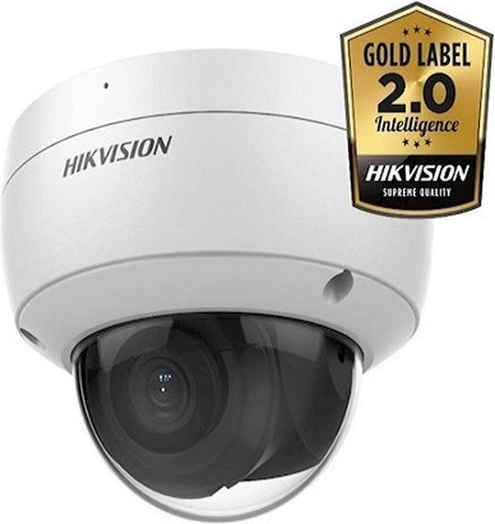 Hikvision DS-2CD2146G2-I wit