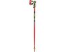 Leki WCR Pro Lite SL TR Bâtons de ski