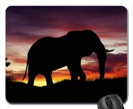 Restagraf African Elephant Computer Mousepad Mouse Pad Mouse Mat Mat Pad Antislip