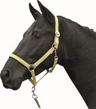 HKM Halster -Stars Economy Softice-