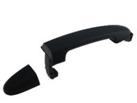 PRASCO Türgriff HN8168113 hinten rechts | Compatibel met: HYUNDAI SANTA FÉ II